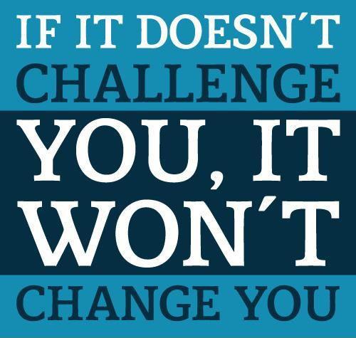 Bring It On! Why Avoiding Challenge is the Fastest Route To Stagnation ...