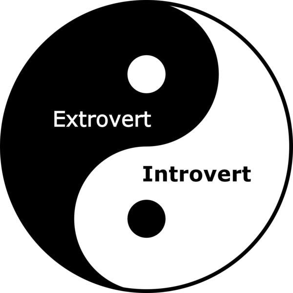 Building a Better Team:How to Bridge the Chasm Between Extroverts and Introverts
