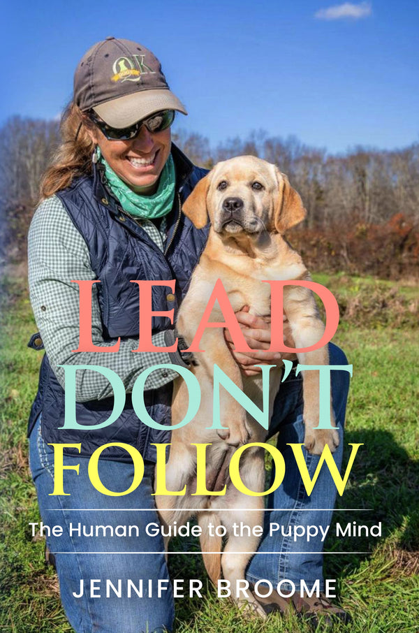 Lead Don't Follow: The Human Guide to the Puppy Mind