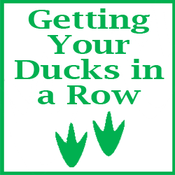 Pet Publishing "Getting Your Ducks in a Row" Package