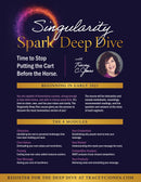 SPARK DEEP DIVE COURSE - SINGULARITY