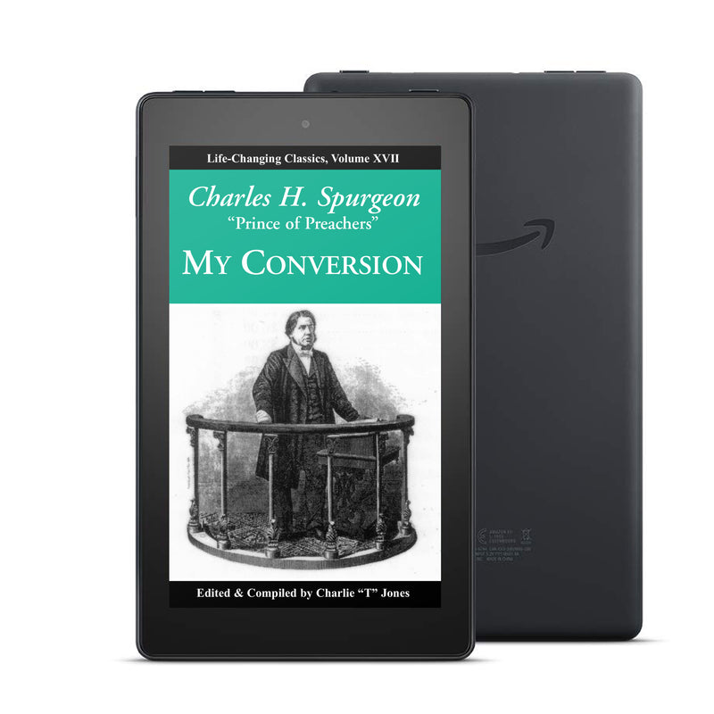 My Conversion: Laws of Leadership Series, Volume VII