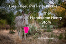 Love, Hope, and a Pink Bucket : The Handsome Henry Story